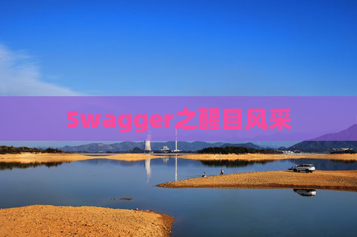 Swagger之醒目风采